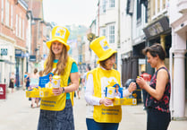 Charity appeal for Hampshire volunteers for the Great Daffodil Appeal 