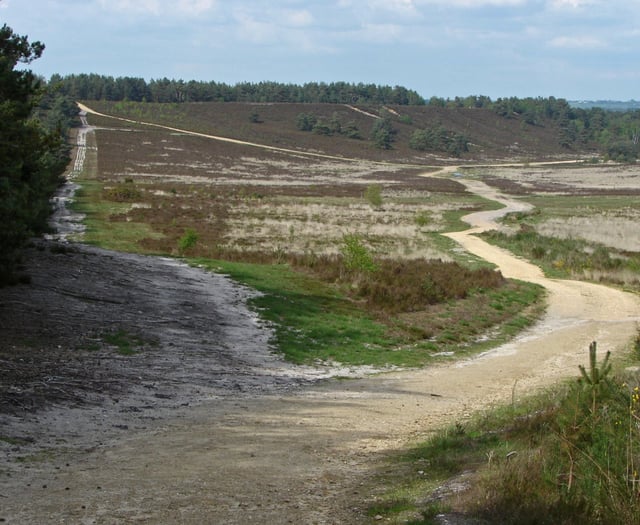 Teenager guilty of stealing a bike and carrying a knife at Hankley