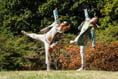 South Downs dancers led by Farnham dance company  