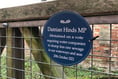 Blue plaques unveiled in Farnham and Alton shaming MPs on river sewage
