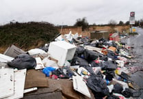 1,000 fly-tipping incidents in East Hampshire