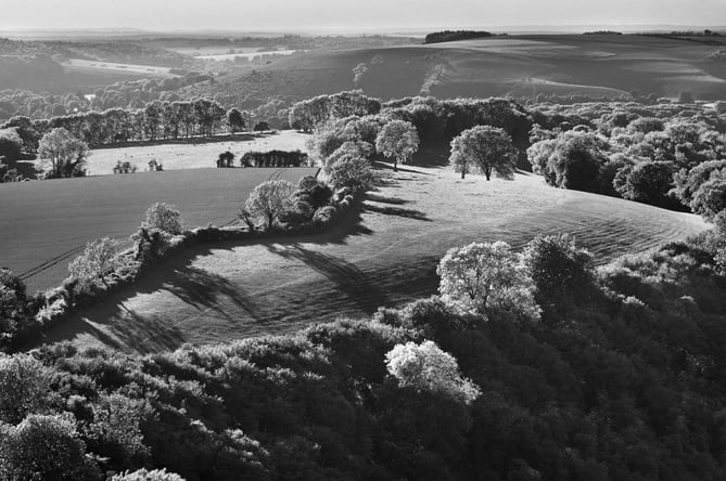 Looking west from Ramsdean Down.