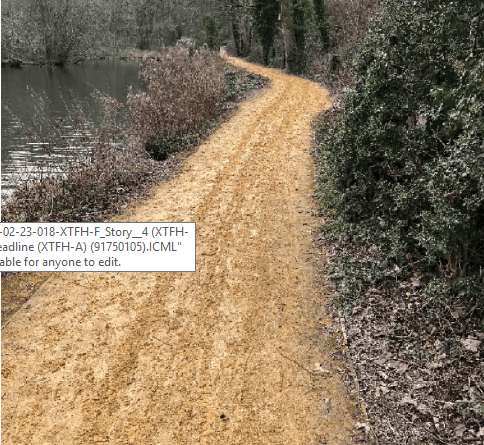 What a slippery mess this path at Kings Pond, Alton, has become...