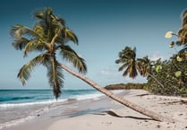 Bring your Desert Island Discs to new Haslemere u3a music group