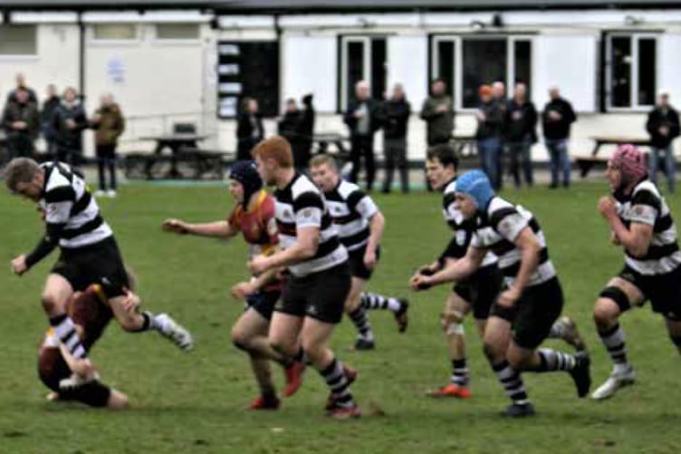 Dartfordians 20 Farnham 22, rugby union, February 18th 2023.