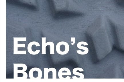 Poster for Echo's Bones art exhibition.