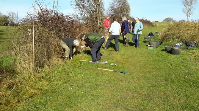 Alton Climate Action Network volunteers planting at the Greenfields site