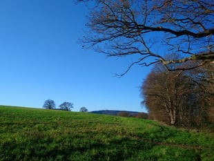 MP warns UK planning reforms threaten East Hampshire's rural charm