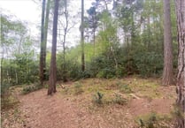 Land and development sites for sale in and around Farnham