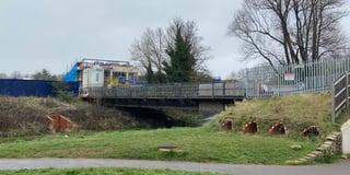 Should new Brightwells bridge be for cyclists or just pedestrians?