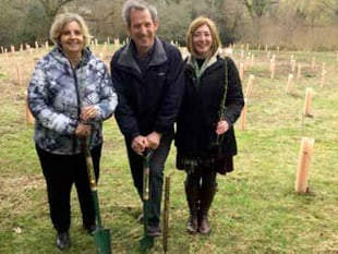 New copse is created in corner of Petersfield Cemetery