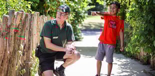 Can you crack Marwell Zoo's free 'Appy Egg Trail this Easter?