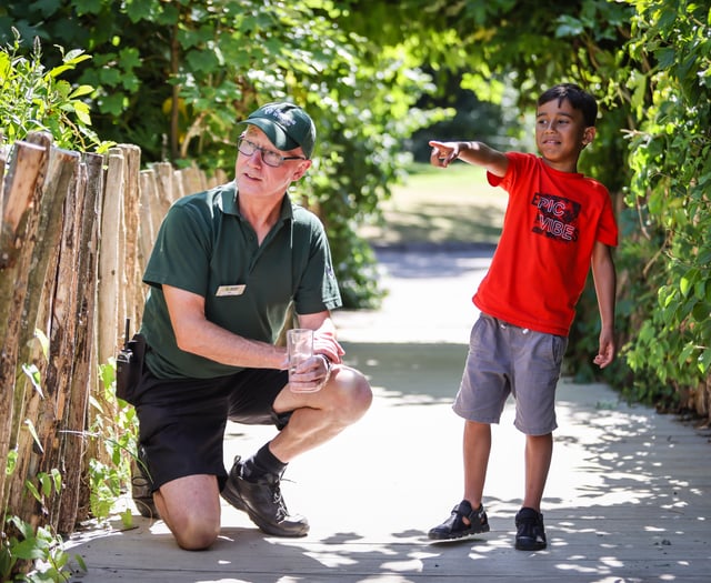 Can you crack Marwell Zoo's free 'Appy Egg Trail this Easter?