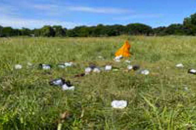 Letter: Make your new year resolution to put litter where it belongs
