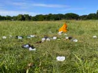 Frustration of litter pickers as rubbish blights Petersfield