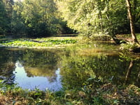 Learn more about grassroots scheme