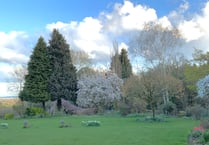 Garden with stunning views over the South Downs to open this Sunday