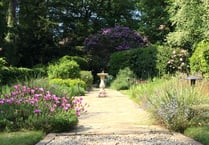 Grayshott's Hidden Gardens to open gates for first time in four years