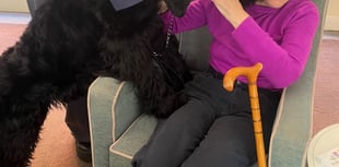Furry birthday boy brings joy to Hindhead care home residents