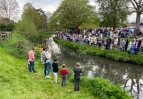 Fowl play as real ducks almost sabotage Great Farnham Duck Race 2023!