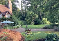 Visit Phyllis Tuckwell’s beautiful Open Gardens