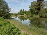 The fishy tale of local beauty spot's disappearing lake is solved...