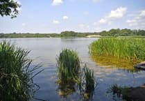 Frensham Great Pond's water quality ruled 'excellent' as bathing season begins