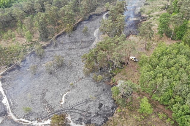 Frensham fire: Firefighters tell walkers to stay away from burnt heath