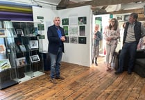 Unique local artwork sold in aid of Tice's Meadow in Badshot Lea