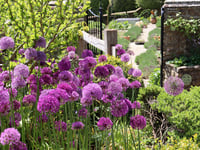 Gallery: Hidden Gardens of Grayshott photo contest winners announced