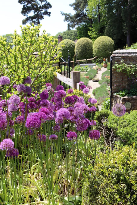 Hidden Gardens of Grayshott adult winner: Emma van Eyssen