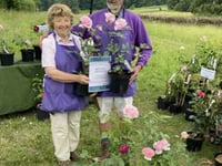 Gilbert White's House celebrates 30 years of its Unusual Plants Fair
