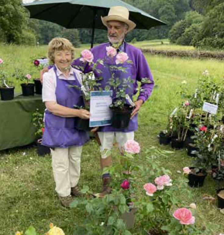 Best in show Seale Rose Garden, Catherine May and David May, Unusual Plants Fair, Gilbert White's House, Selborne, June 17th and 18th 2023.
