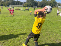Headley Playing Fields pitches plan causes environmental controversy