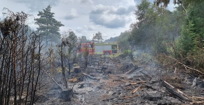 Aftermath of Hartley Wintney heathland fire, June 2023.