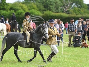 Fawley Horse and Dog Show returns this Sunday