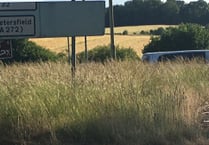Holybourne driver criticises Hampshire County Council over A31 grass