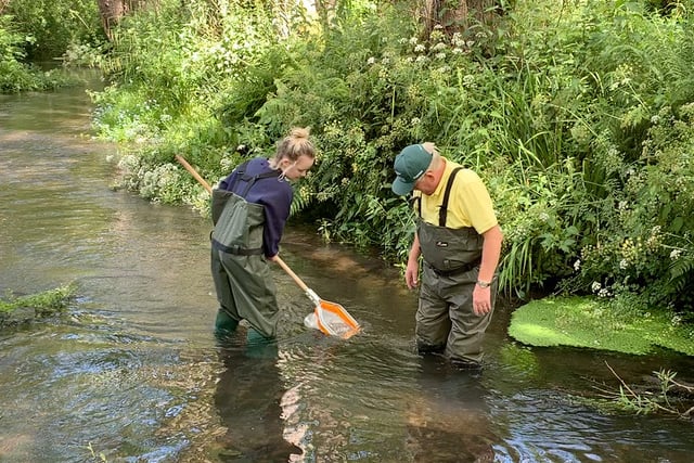 Don’t stand back – help River Wey Trust clean up our local rivers