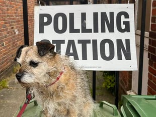 What really is the point of appointing local councillors? Ask the dog!