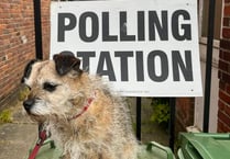 What really is the point of appointing local councillors? Ask the dog!