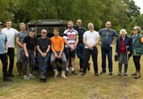 Volunteers help protect Lynchmere common from invasive bracken