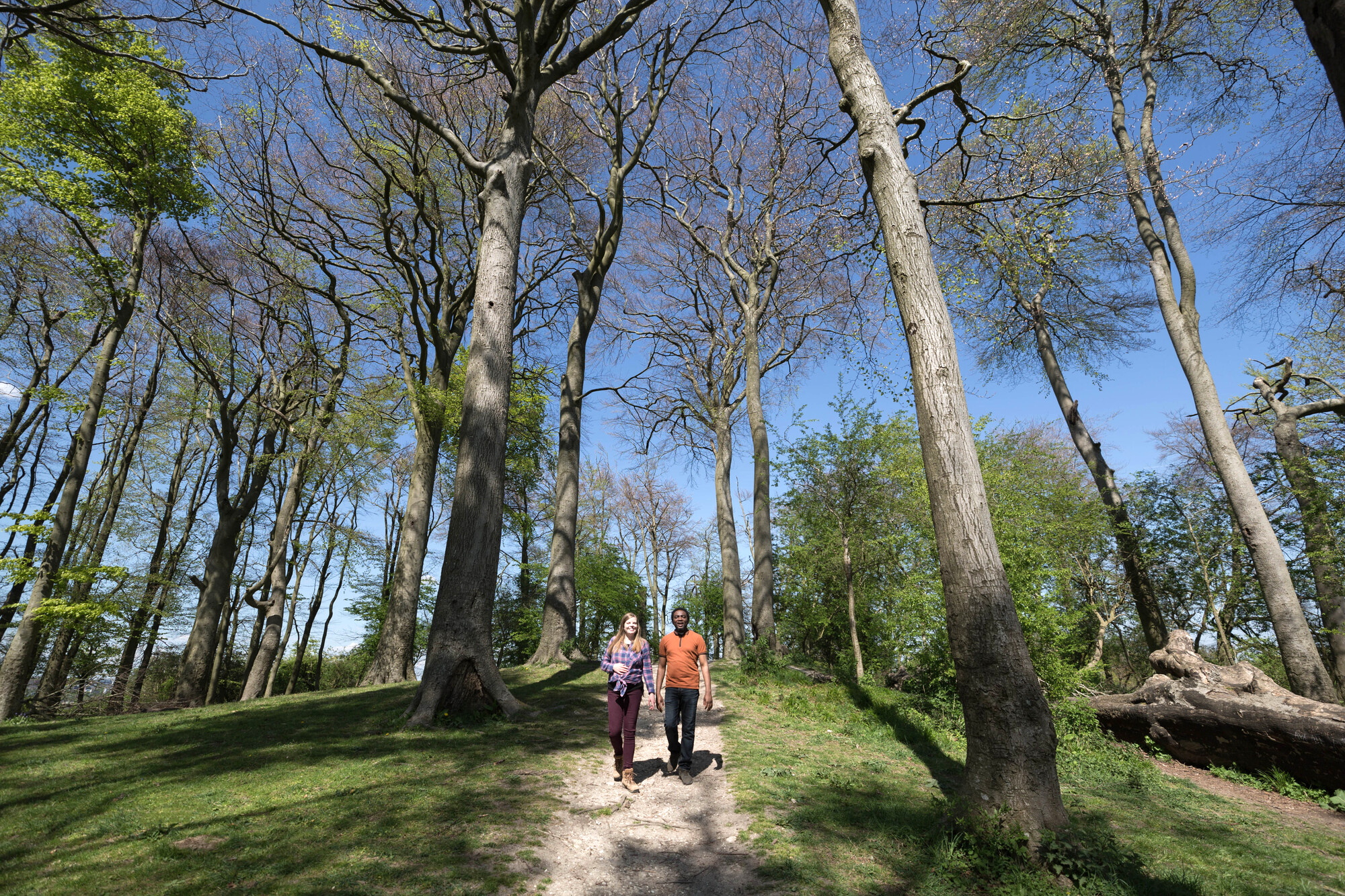 The scheme is being launched by the South Downs National Park Authority in partnership with Green Tourism