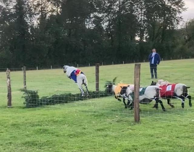 Party was baa-rilliant way to help Froxfield playscheme