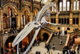 Summer adventures on a shoestring: Fifty family days out for under £20