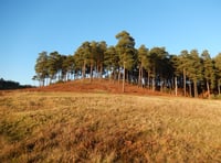 Parts of medieval horror film to be shot at Bourne Wood