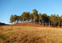 Parts of medieval horror film to be shot at Bourne Wood