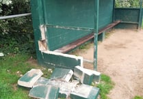 Football club shows red card to Liss vandals 