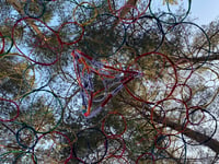 Creativity amidst nature: Heathland Artworks Trail at Farnham Heath
