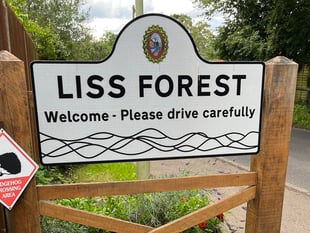 Forecast for Bank Holiday fun in Liss Forest