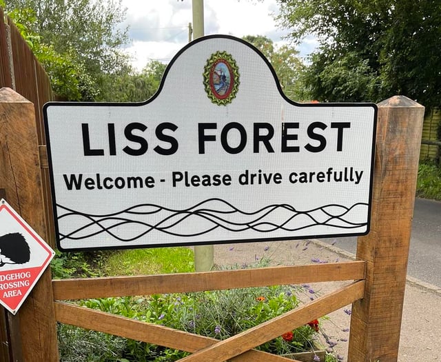 Forecast for Bank Holiday fun in Liss Forest